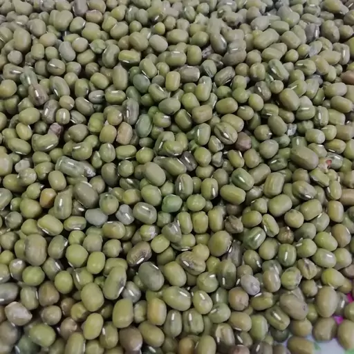 ماش سبز ایرانی
