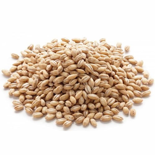 گندم پوست کنده