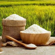 برنج لاشه فجر گرگان